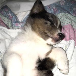 Meet your Posher, Jada